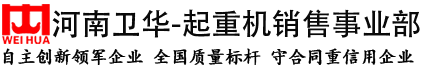 卫华电动葫芦桥式起重机